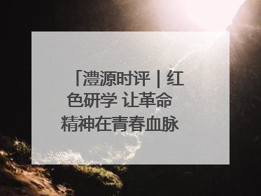 澧源时评｜红色研学 让革命精神在青春血脉中永续传承
