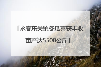 永春东关镇冬瓜喜获丰收 亩产达5500公斤