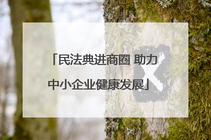 民法典进商圈 助力中小企业健康发展