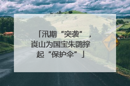 汛期“突袭”，崀山为国宝朱鹮撑起“保护伞”