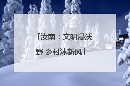 汝南：文明浸沃野 乡村沐新风