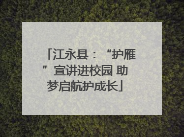 江永县：“护雁”宣讲进校园 助梦启航护成长