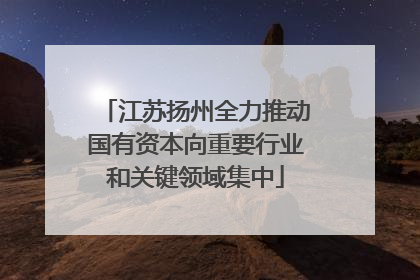 江苏扬州全力推动国有资本向重要行业和关键领域集中