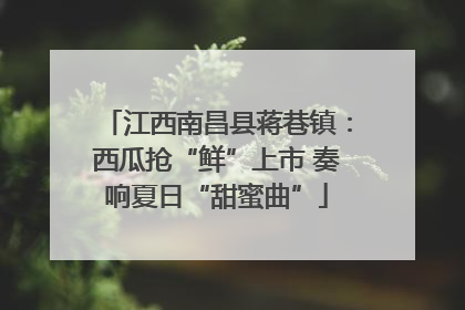江西南昌县蒋巷镇：西瓜抢“鲜”上市 奏响夏日“甜蜜曲”