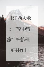 江西大余：“空中管家”护航稻虾共作