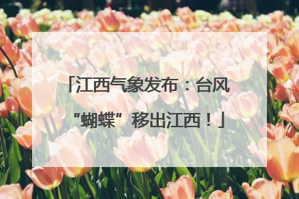 江西气象发布：台风“蝴蝶”移出江西！