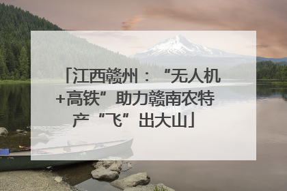 江西赣州：“无人机+高铁”助力赣南农特产“飞”出大山