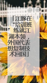 江豚在“培训班”练就江湖本领，外国代表想复制技术回国