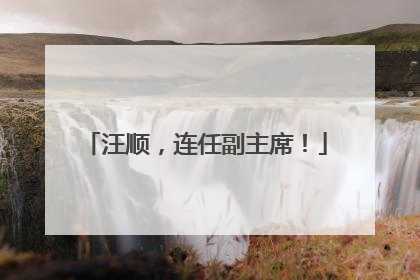 汪顺，连任副主席！