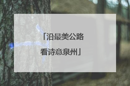 沿最美公路 看诗意泉州