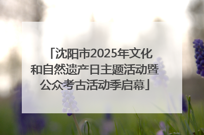 沈阳市2025年文化和自然遗产日主题活动暨公众考古活动季启幕