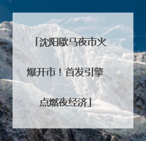 沈阳歇马夜市火爆开市！首发引擎点燃夜经济
