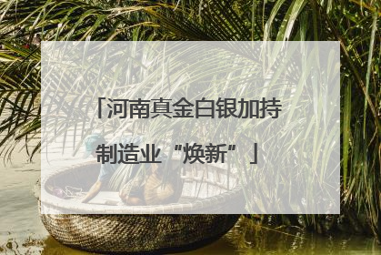 河南真金白银加持制造业“焕新”
