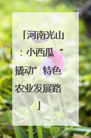 河南光山：小西瓜“撬动”特色农业发展路