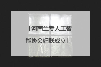 河南兰考人工智能协会妇联成立