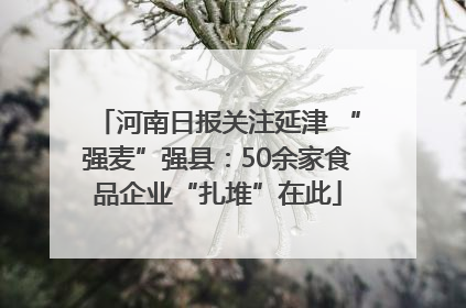 河南日报关注延津 “强麦”强县：50余家食品企业“扎堆”在此