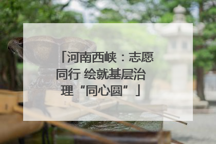 河南西峡：志愿同行 绘就基层治理“同心圆”