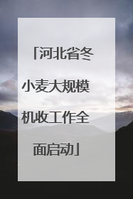 河北省冬小麦大规模机收工作全面启动