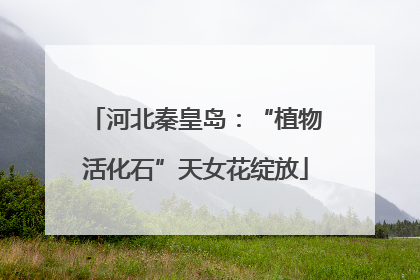 河北秦皇岛：“植物活化石”天女花绽放