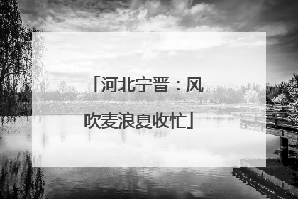 河北宁晋：风吹麦浪夏收忙