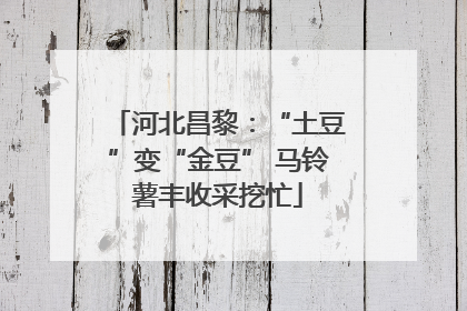 河北昌黎：“土豆”变“金豆” 马铃薯丰收采挖忙