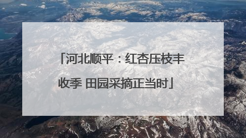 河北顺平：红杏压枝丰收季 田园采摘正当时