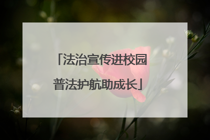 法治宣传进校园 普法护航助成长
