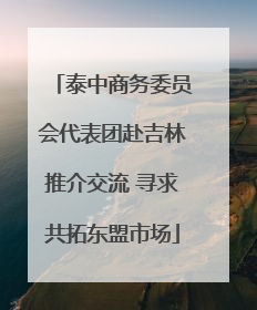 泰中商务委员会代表团赴吉林推介交流 寻求共拓东盟市场