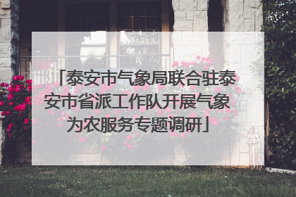 泰安市气象局联合驻泰安市省派工作队开展气象为农服务专题调研