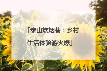 泰山炊烟巷：乡村生活体验游火爆