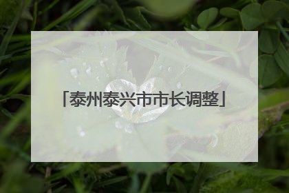 泰州泰兴市市长调整