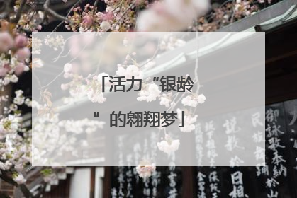 活力“银龄”的翱翔梦