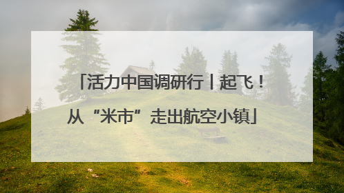 活力中国调研行丨起飞！从“米市”走出航空小镇