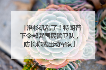 洛杉矶乱了！特朗普下令部署国民警卫队，防长称或出动军队