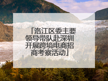 洛江区委主要领导带队赴深圳开展跨境电商招商考察活动