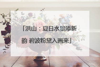 洪山：夏日水景添新韵 碧波粉黛入画来
