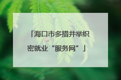 海口市多措并举织密就业“服务网”
