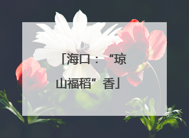 海口：“琼山福稻”香