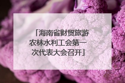 海南省财贸旅游农林水利工会第一次代表大会召开