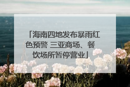 海南四地发布暴雨红色预警 三亚商场、餐饮场所暂停营业