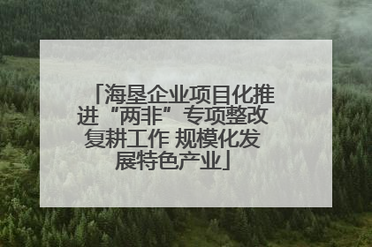 海垦企业项目化推进“两非”专项整改复耕工作 规模化发展特色产业