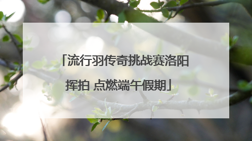 流行羽传奇挑战赛洛阳挥拍 点燃端午假期