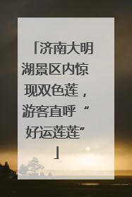 济南大明湖景区内惊现双色莲，游客直呼“好运莲莲”