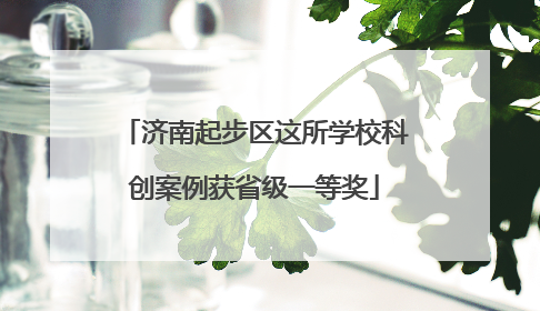 济南起步区这所学校科创案例获省级一等奖