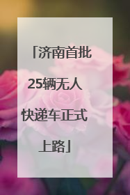济南首批25辆无人快递车正式上路