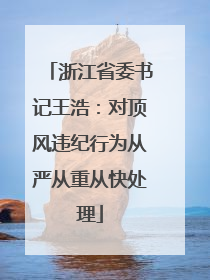 浙江省委书记王浩：对顶风违纪行为从严从重从快处理