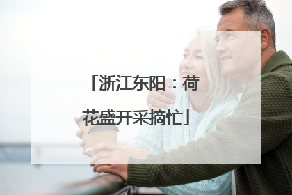 浙江东阳：荷花盛开采摘忙