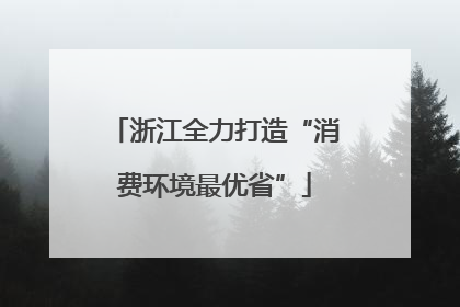 浙江全力打造“消费环境最优省”