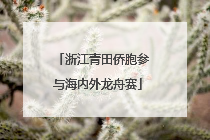 浙江青田侨胞参与海内外龙舟赛