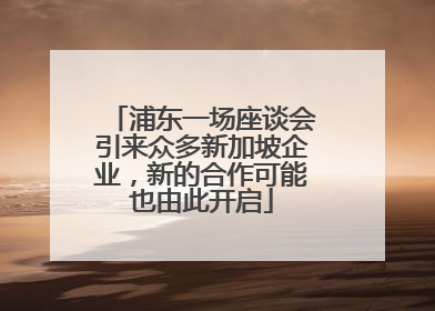 浦东一场座谈会引来众多新加坡企业，新的合作可能也由此开启
